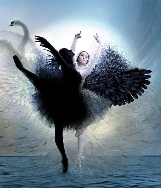 [Наталья Приймаченко] Интеграция Тени (2024)_0.jpg